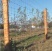 Tornado TITAN Optimum  200cm (TITAN OPTIMUM 200)
